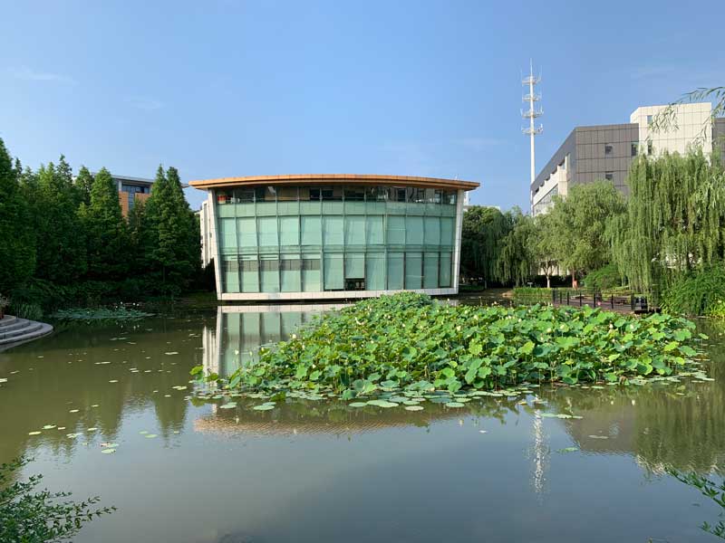 上海金领之都餐厅：味蕾的盛宴，商务的温馨港湾